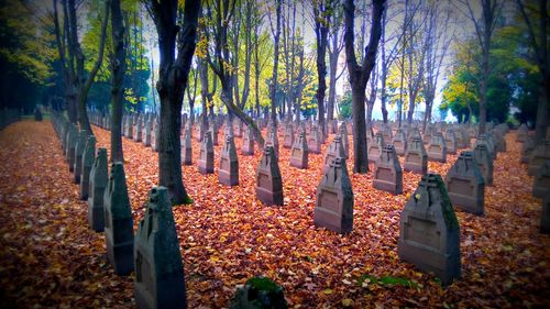 Panoramic view of trees against sky