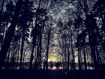 Silhouette trees in forest against sky