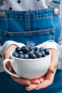Woman holding bowl with fresh blueberries. harvesting concept. female hands collecting berries. 
