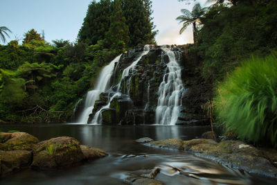 Scenic view of waterfall in forest