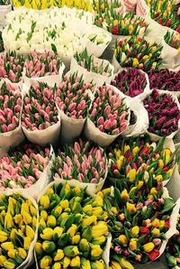 High angle view of various flowers for sale at market stall