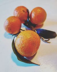 High angle view of oranges on table