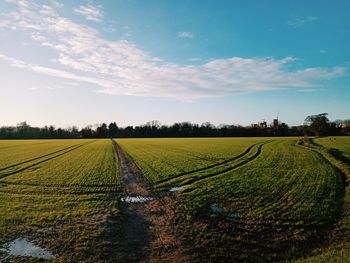 Scenic view of agricultural field against sky