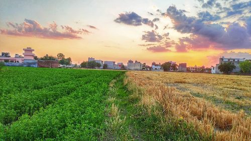 Scenic view of field against sky during sunset