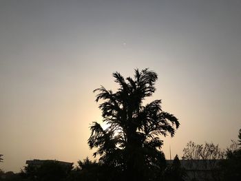 Low angle view of silhouette trees against clear sky