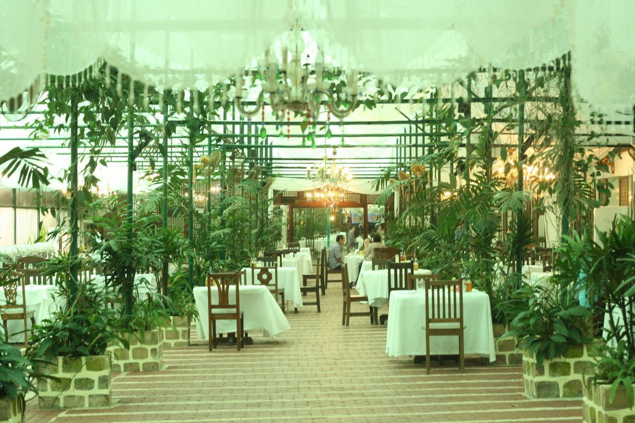 VIEW OF PLANTS IN ROOM