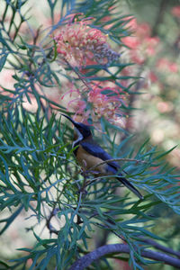 Bird perching on tree