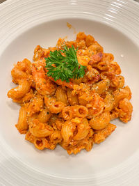 Stir fried macaroni with tomato sauce put on a plate ready to serve.