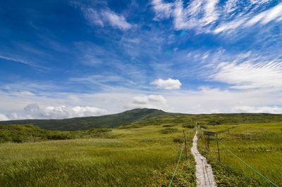 Scenic view of field against sky