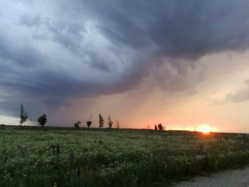 Scenic view of field against sky during sunset