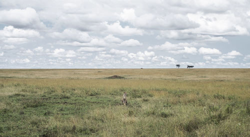 Scenic view of grassy field against cloudy sky