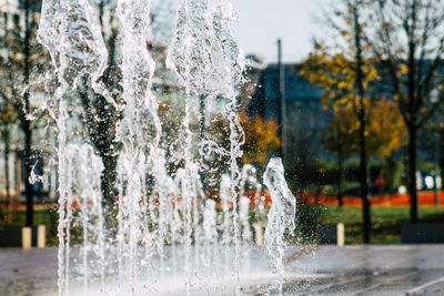 Close-up of fountain against trees during winter