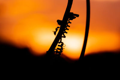 Close-up of silhouette metal against orange sky