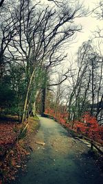 Road amidst trees against sky