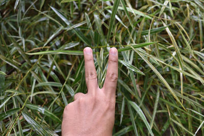 Cropped hand of person gesturing on grass