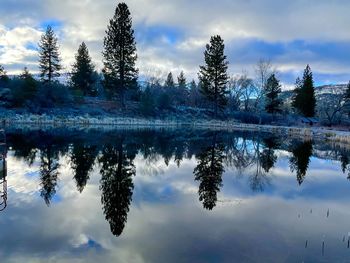 Reflection of trees in lake against sky