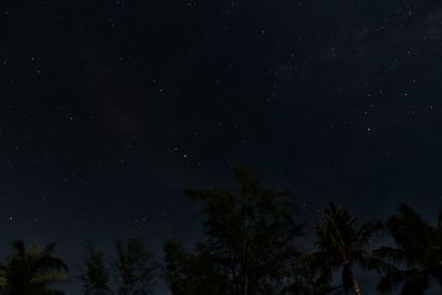 Low angle view of silhouette trees against sky at night