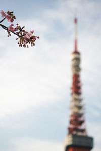 Low angle view of flowering plant against cloudy sky