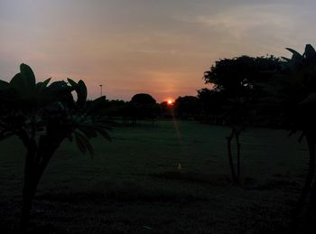 Trees on field against sky at sunset