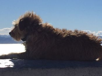 View of landscape against sky