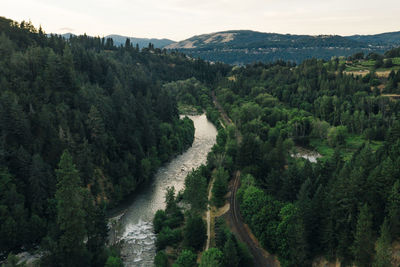 Hood river winds its way through forests to the columbia river in or.