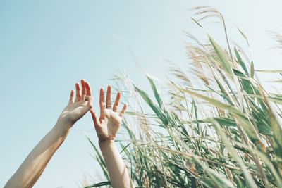 Cropped image of woman with arms raised by plants against sky