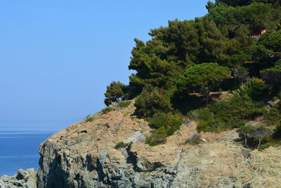 Coastline of ligurian sea in bonassola, la spezia, liguria, italy.