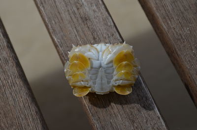 High angle view of ice cream cone on wood