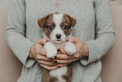 Midsection of woman holding dog