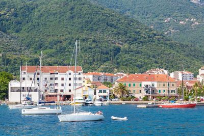 Sailboats in sea against houses