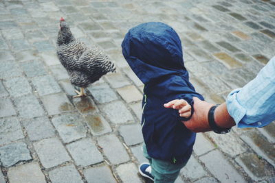 Cropped hand of man holding boy standing by chicken on street during monsoon