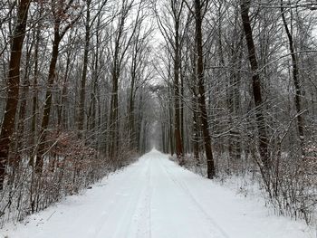 Snow covered road amidst trees during winter