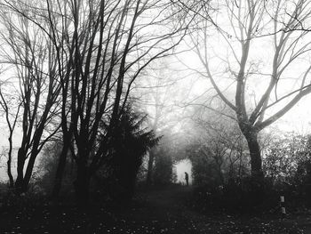 Silhouette bare trees in forest during foggy weather