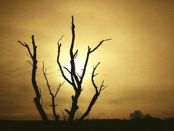 Silhouette bare tree against sky during sunset