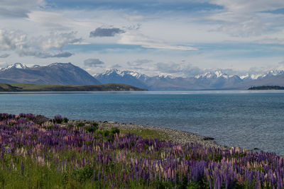 Scenic view of lake against mountain range against sky