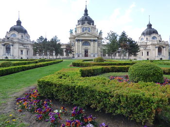 View of building with plants in garden