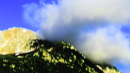 Close-up of tree against blue sky