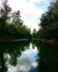 Scenic view of lake in forest against sky