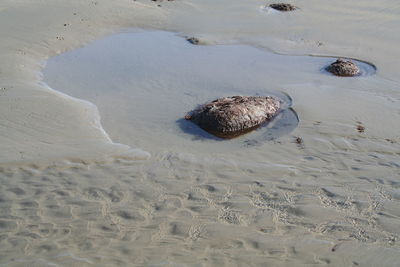 High angle view of rock on beach