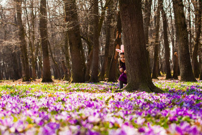 Person on purple flowering plants in forest