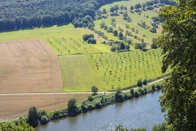 High angle view of water flowing through land