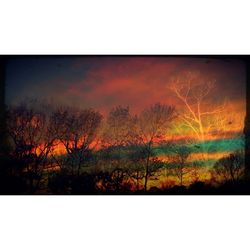 Bare trees against sky at sunset