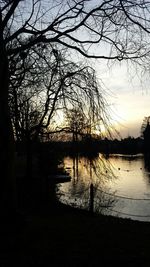 Silhouette of bare tree in lake during sunset