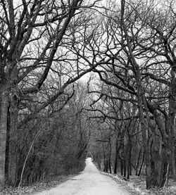 Road amidst bare trees during winter