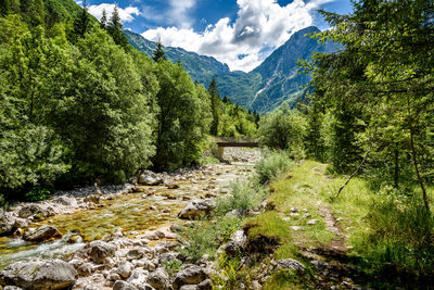 Scenic view of stream amidst trees and mountains against sky
