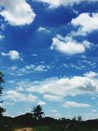 Low angle view of trees against sky
