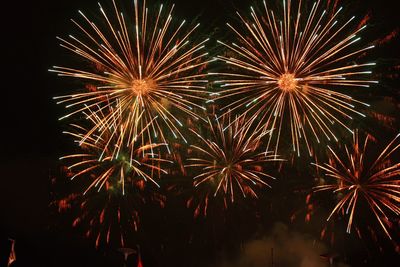 Low angle view of firework display at night