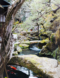 River flowing through rocks