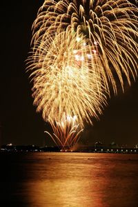 Low angle view of firework display at night