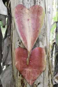 High angle view of heart shape on wood